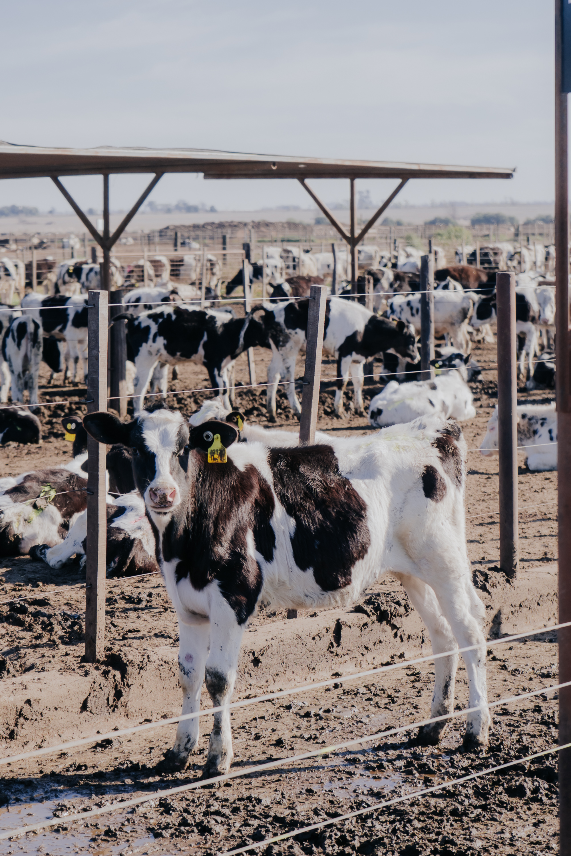 Maquinaria agrícola moderna